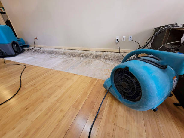 Professional Flood Damage Cleanup technician working in Penngrove, CA